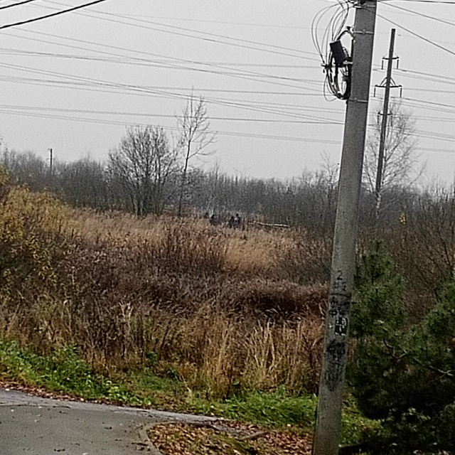 Здравствуйте на алимово каждый день жгут костры орут м...