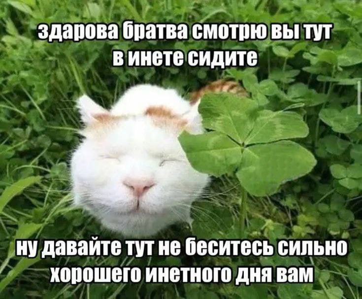 Утренняя подборочка