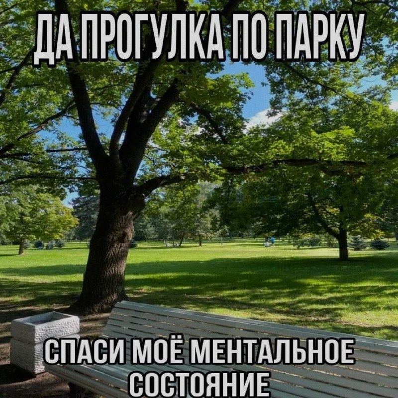 Ночная подборочка
Выходные, не спим