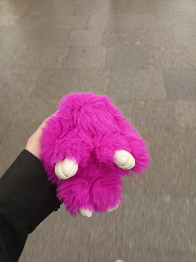 нашел игрушку в вагоне поезда, ехавшего по направлению...