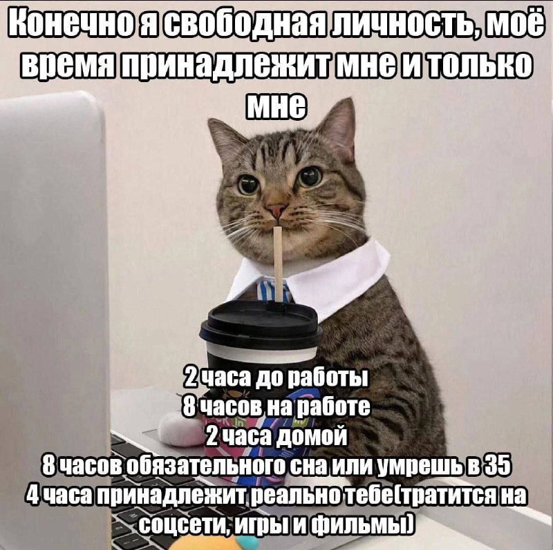 Утренняя подборочка