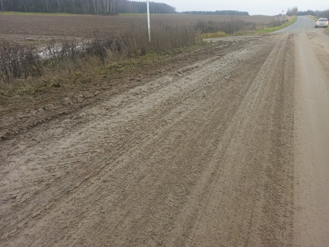 На первом километре с.Сосновец в сторону с.Болотново н...
