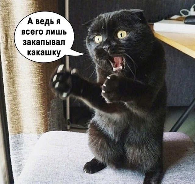Бедняжка😨