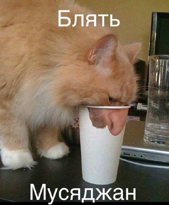 Мой нос в расслабленном состоянии: 👃🏻
Мой нос, как только я улыбнулась: