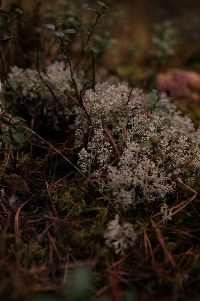 Доброго утра, Никольск❤