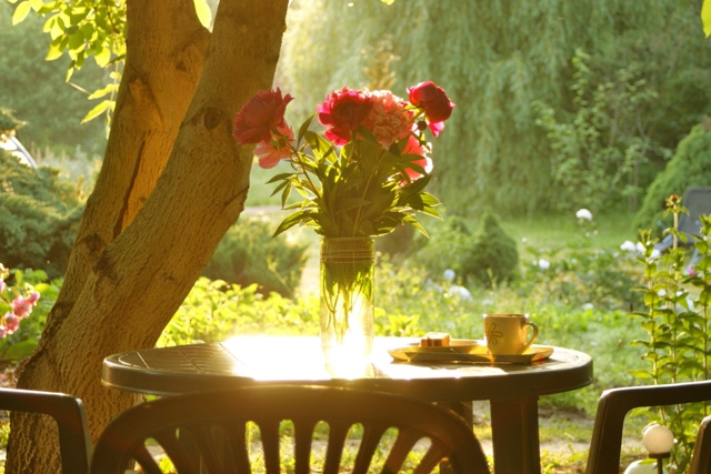 Доброе утро, друзья ☀️?