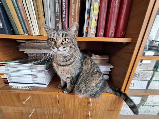 Прошу к знакомству. Это наш уважаемый Валерий Щуказадо...