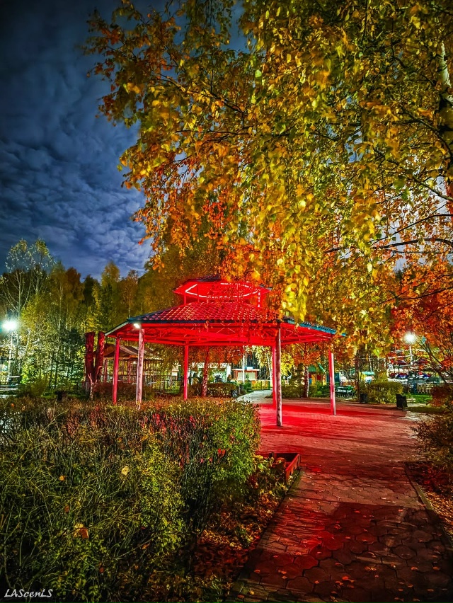 Октябрьский парк культуры и отдыха.
Фото: Юрий Жарков