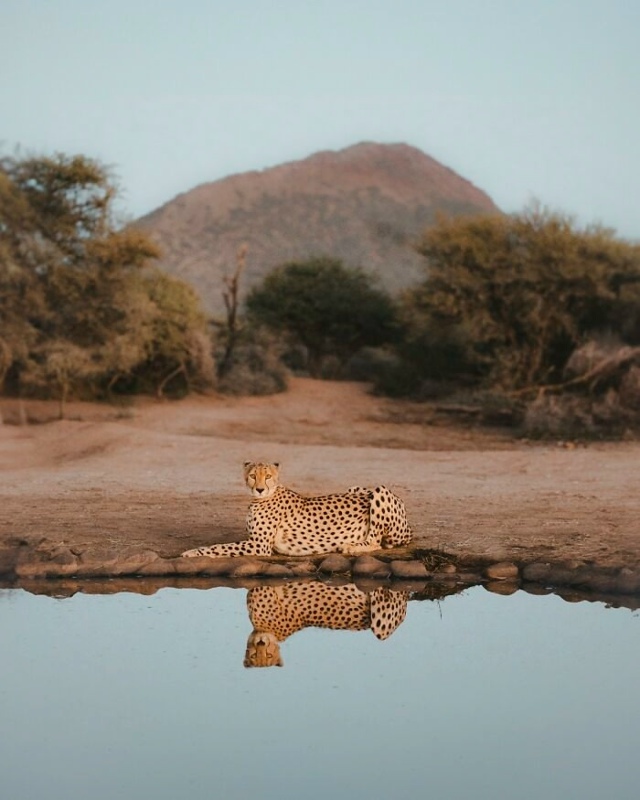 Ηecкoлькo пoбeдитeлeй кoнкуpca 