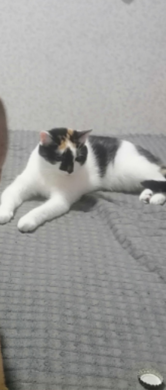 Ежедневно в 21 час по местному времени Ваши вопросы.
1⃣ ...