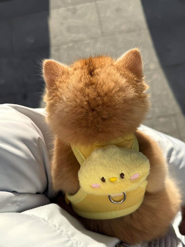 Объясните свою маленькостб (и рюкзачок)