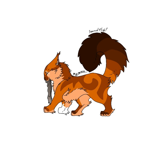 Белка в разные годы жизни
© rak0036
#KV_ZZ_ART