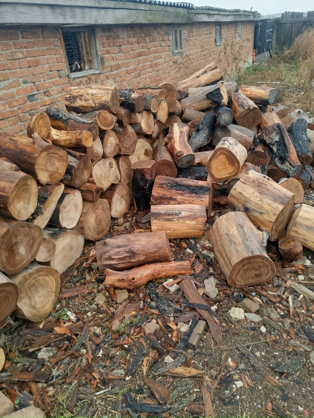 Дрова сухой карагач. 89534512309