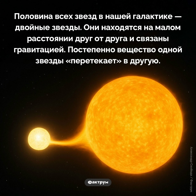Подборка интересных фактов.