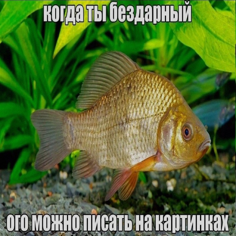 Ночная подборочка
Выходные, не спим
