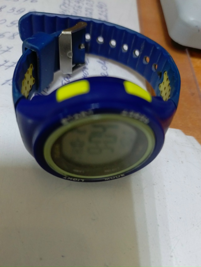 Найдены на стадионе на Матросовой