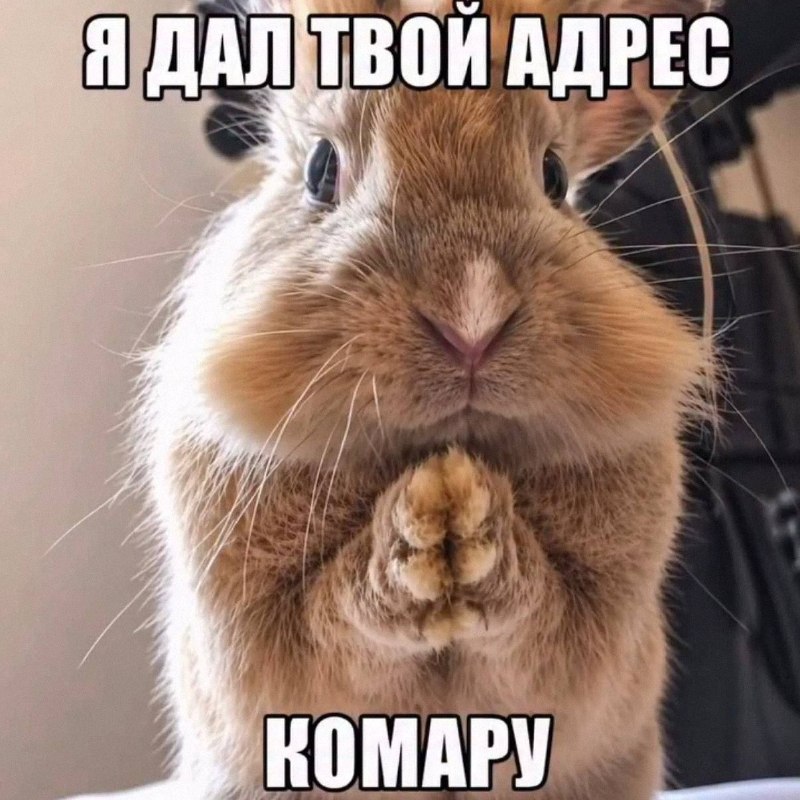Утренняя подборочка