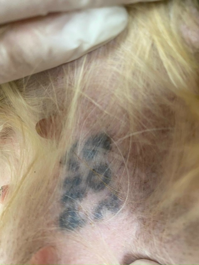 Добрый вечер!
В районе проезда Маяковского найдена со...