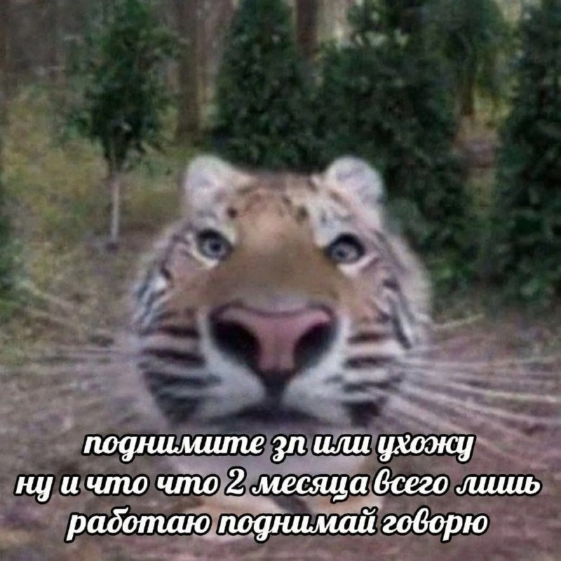Утренняя подборочка