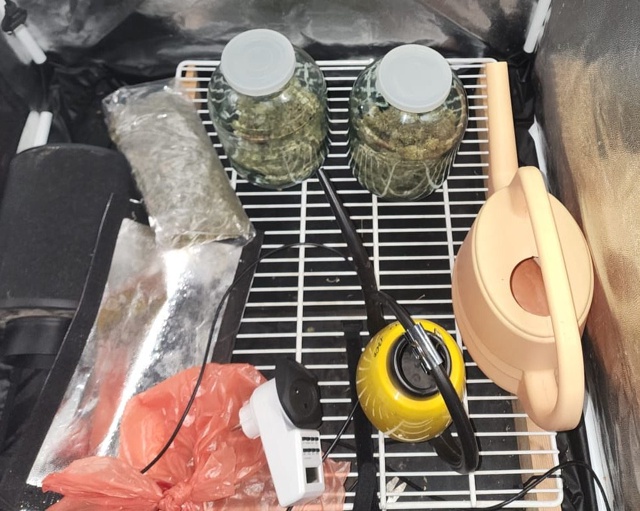 🪴 Домашний ботаник: в Евпатории полицейские изъяли у ?...