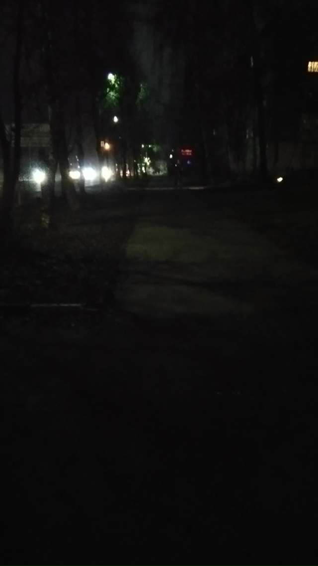 Вот улица Менделеева идёшь и не видно не чего ( хотелос?...