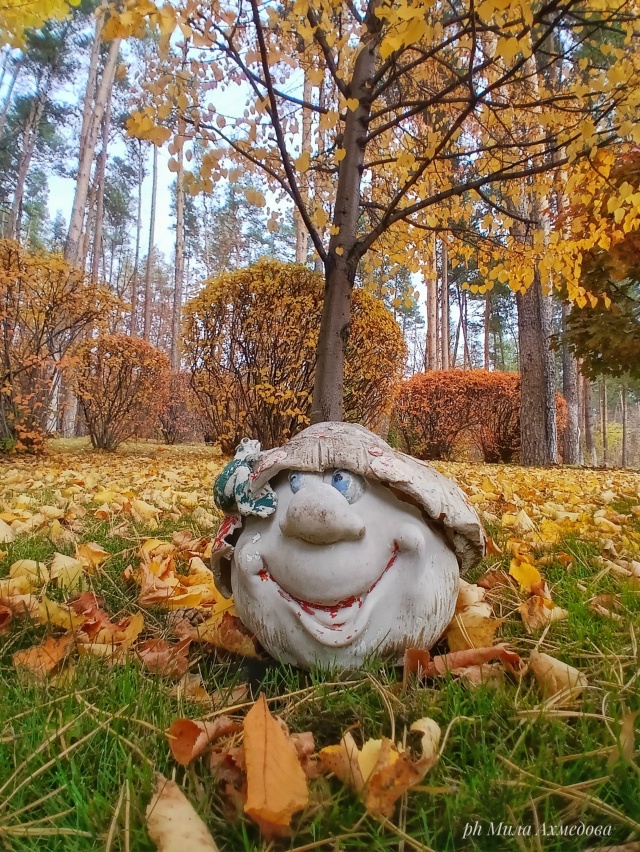 Тольяттинский лес, полон неожиданностей.🌲🐘🍁