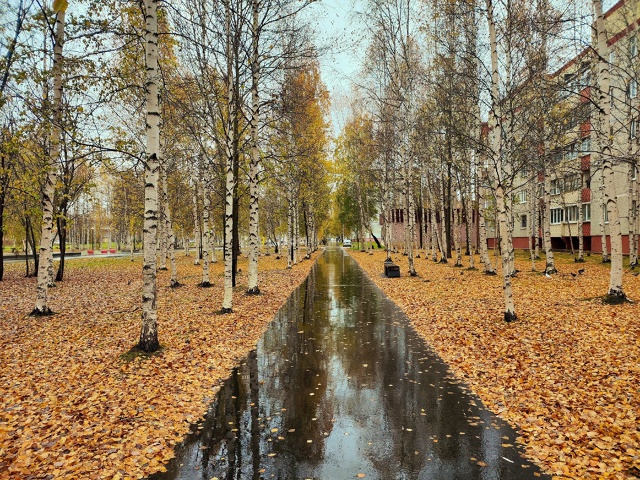 Здравствуйте
Такую красоту 🤩 запечатлил 2 недели наз?...