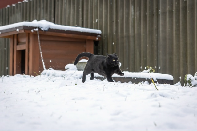 ❄ Привет зима, мы ждали!
Традиционно встретили первый ...