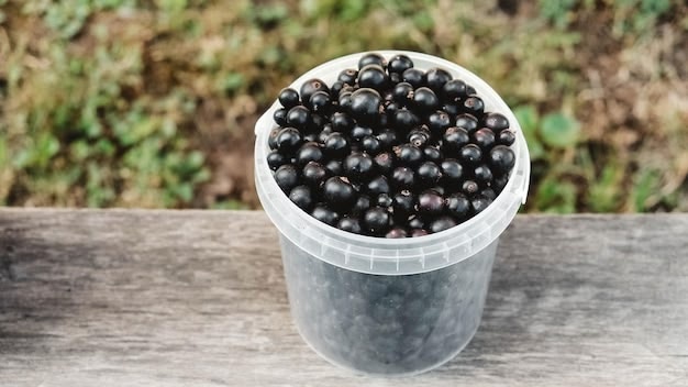 24.07.2025 четверг Маршила рыбалка 81Д
Пересечение Лепатов?...
