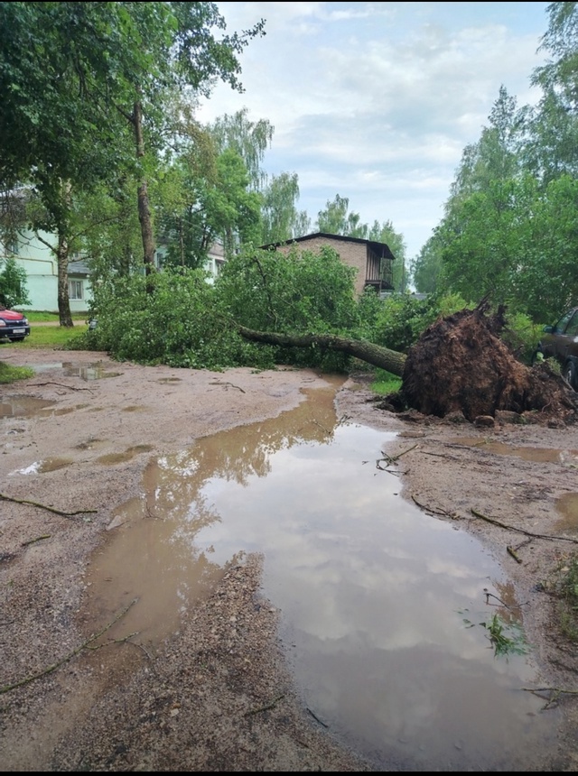 Доброе утро! Вот такое утро в Острове - 2