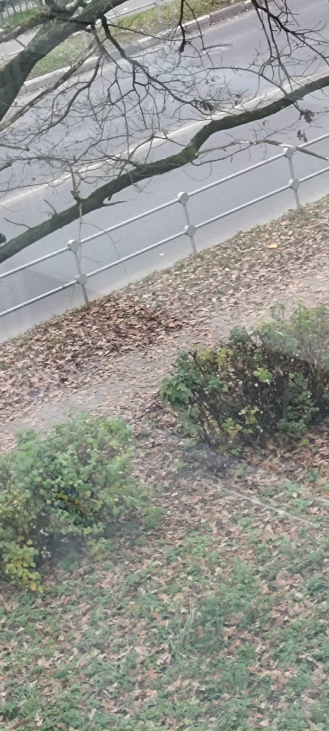 Очень печально смотреть на любимый город, нет в городе ...