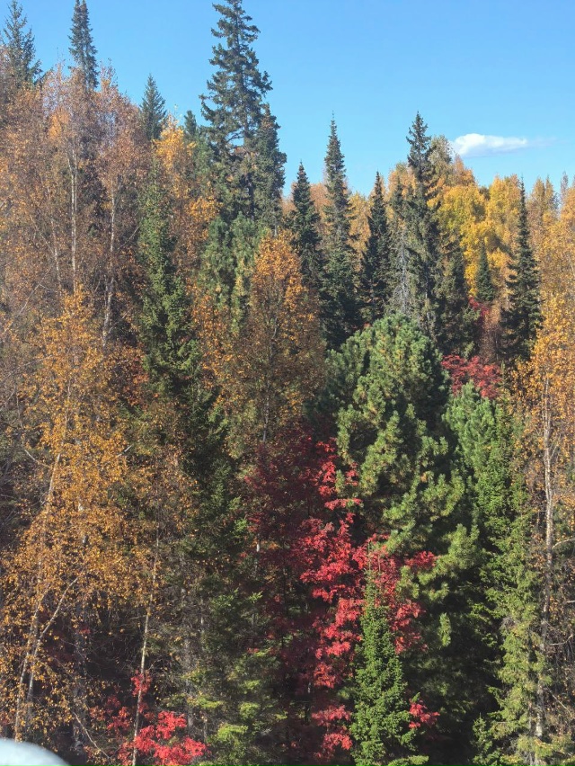 🤩Супер красота осени на Байкале — от подписчика