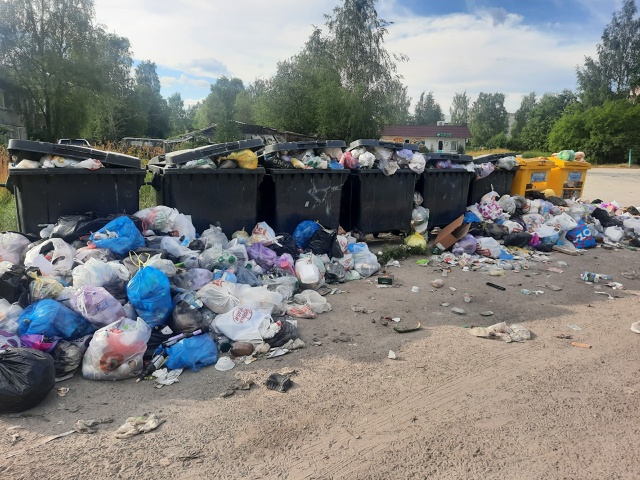 Пошли 3 сутки как не вывозится мусор на Горького. Предп?...