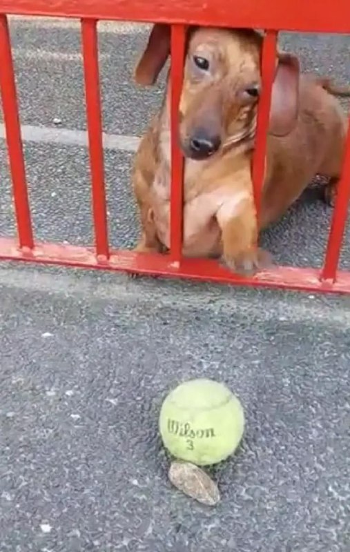 Он же его достанет, да?