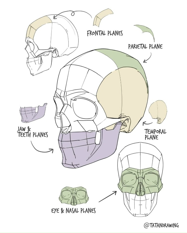Голова
Sketch
Tutorial