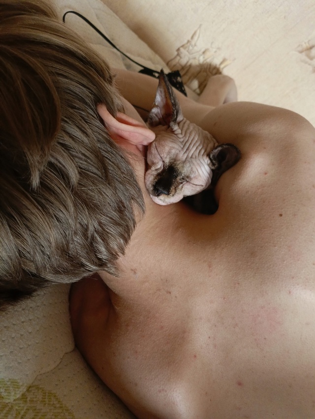 Всратыш Агата. Любит шуршать пакетами, кусаться и спат?...