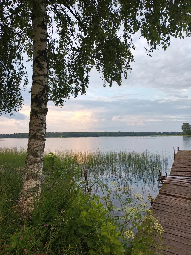 Красота русской природы
Озеро «Заозерье» д.Корытница...