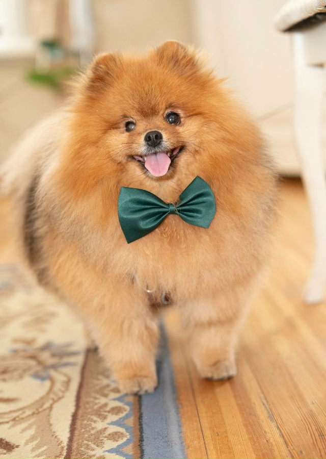 Решила тоже поделиться фотографиями с нашей свадьбы 16....