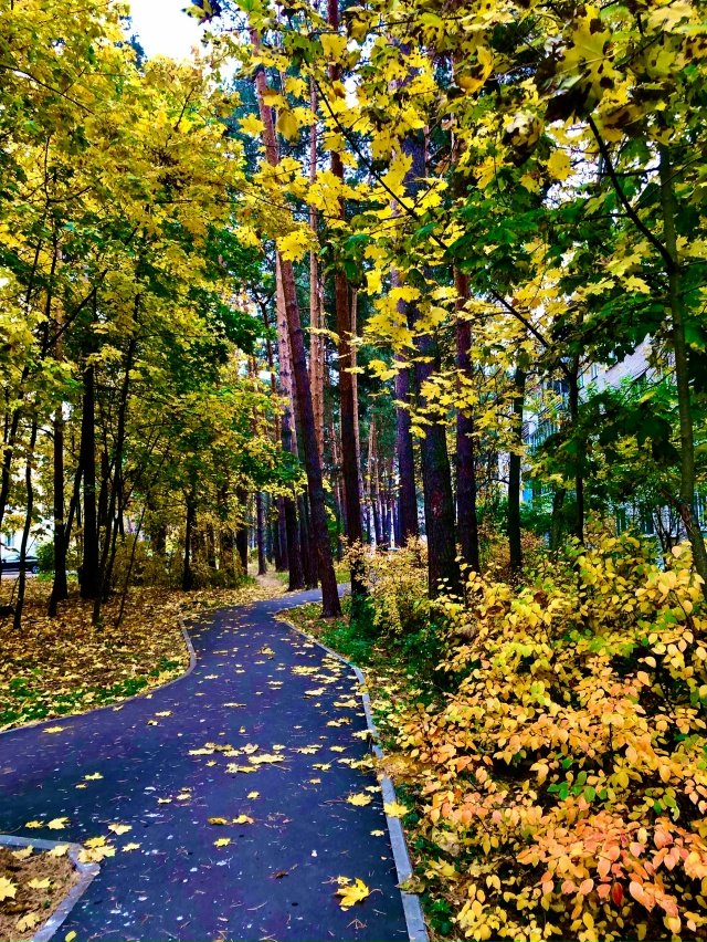Осень в Протвино 🍁🍁🍁