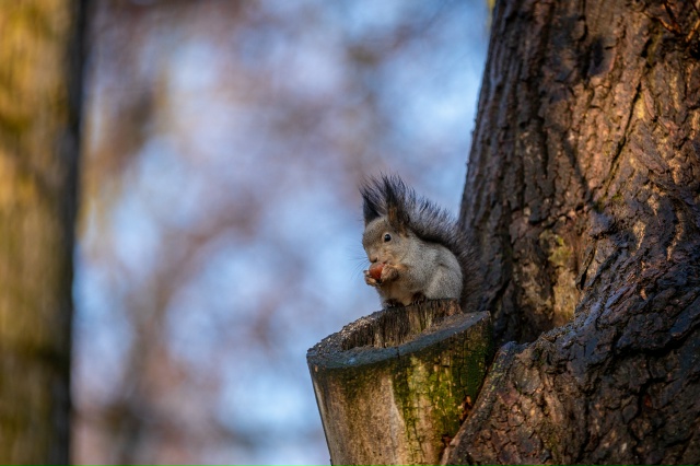 В парке ... 👀