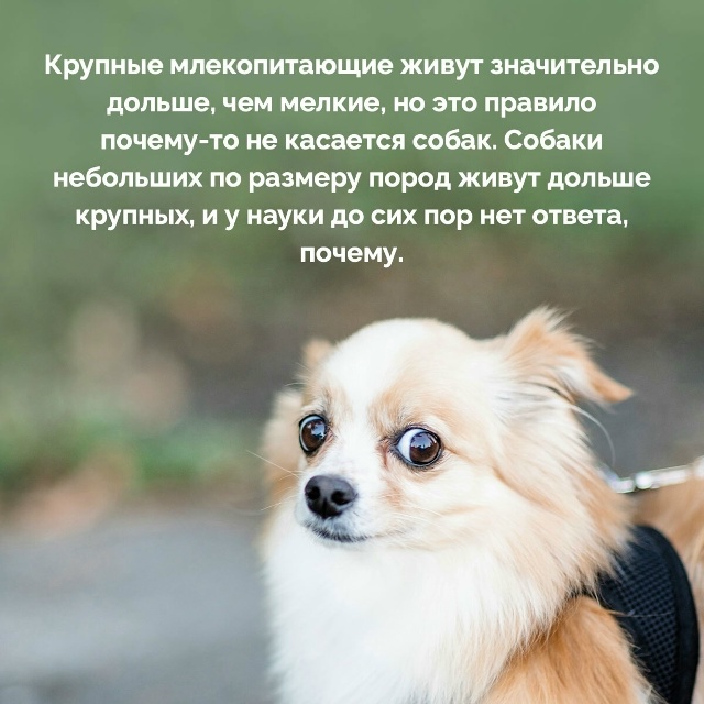 Подборка познавательных фактов.