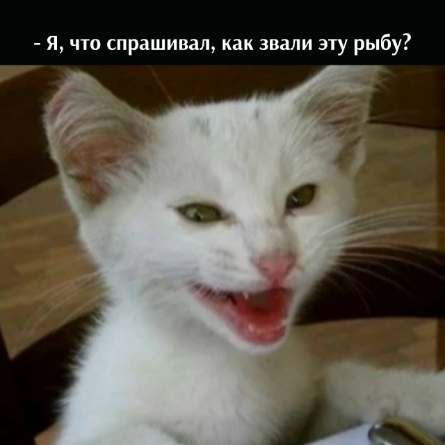 😂😂😂