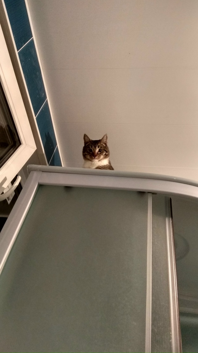 5-6~ месяцев и года 2
Привычки не меняются