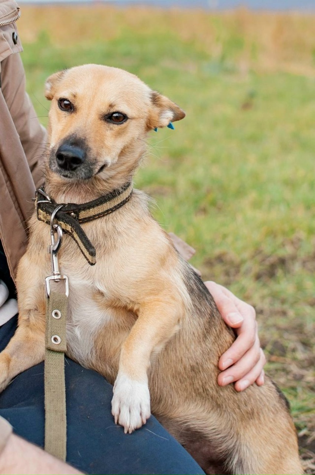 ?? Прямо сейчас на Полугоре проходит выставка-прист?...