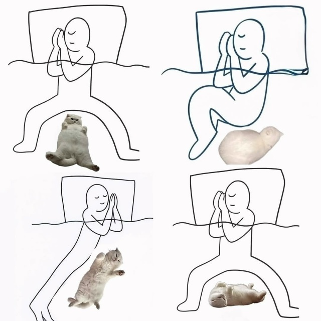 Спим как можем😄
