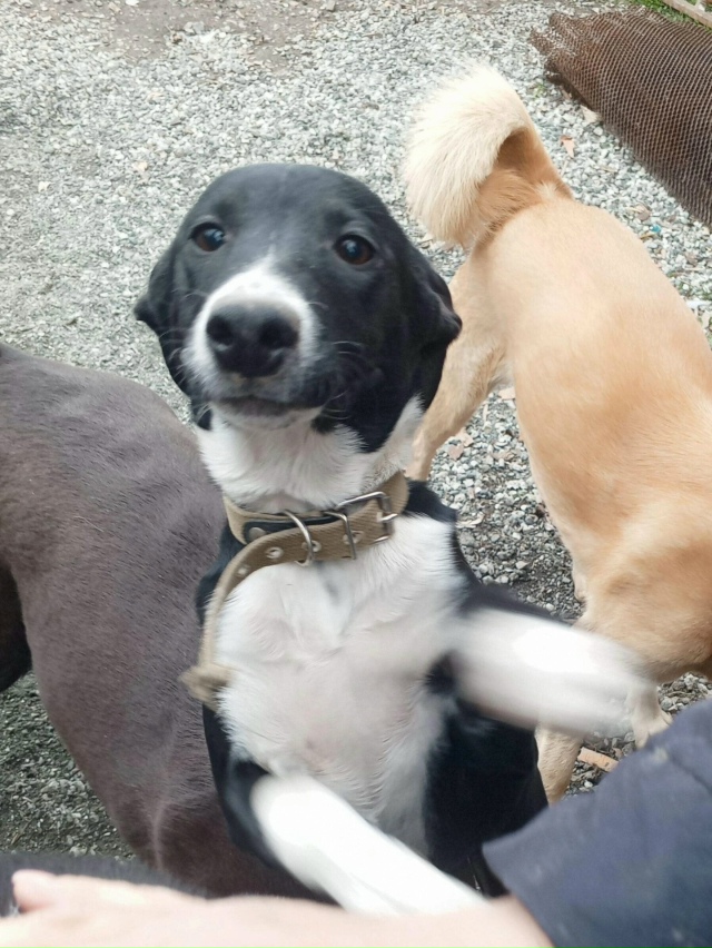 Что такое происходит 😳?
Мимо Кнопы все проходят,
А она ...