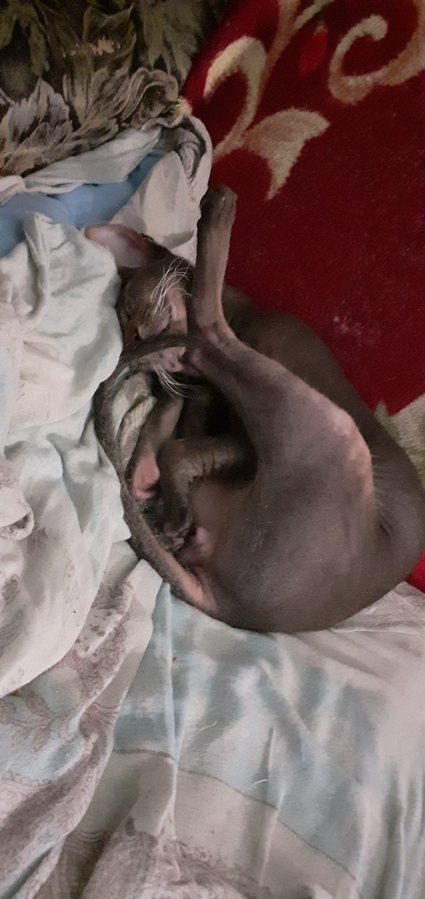 Уроки йоги от Саймона