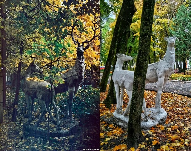 Кто помнит рога у оленя?