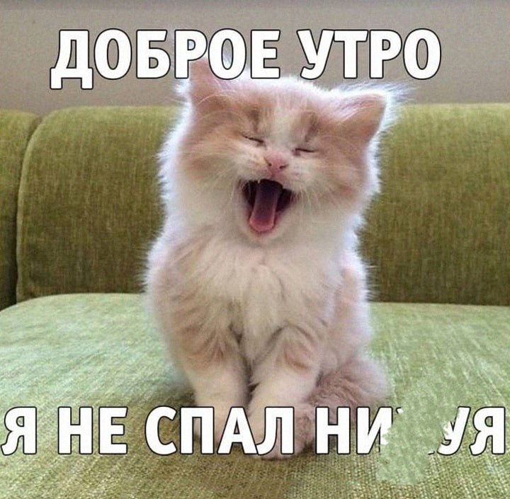 Утренняя подборочка