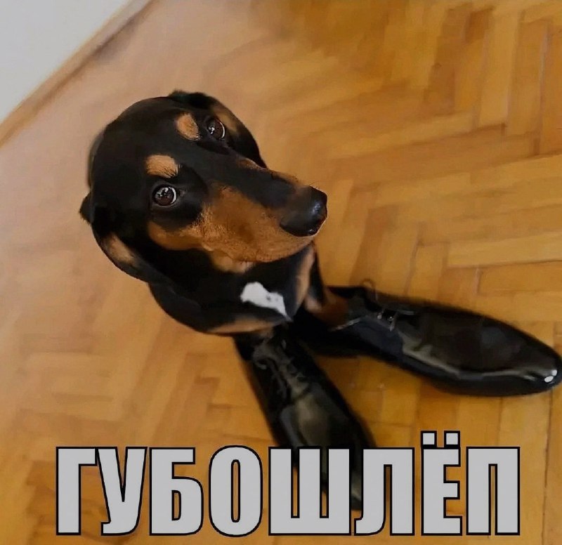 Ночная подборочка
Спать, режим